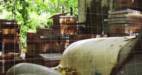 Displaying stacked worn crates with stamped markings in rustic shed, blurred hull and sunlit trees