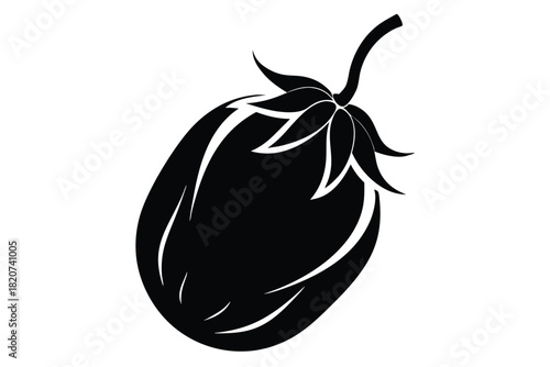 Solitary eggplant silhouette showing its unique shape and the textures of its skin is captured