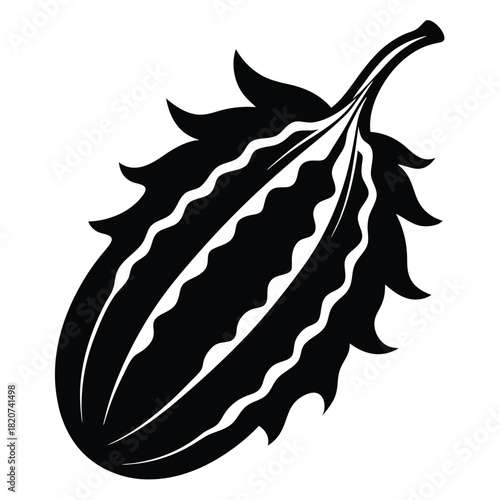Black silhouette reveals a distinctive spiky bitter melon isolated against white background