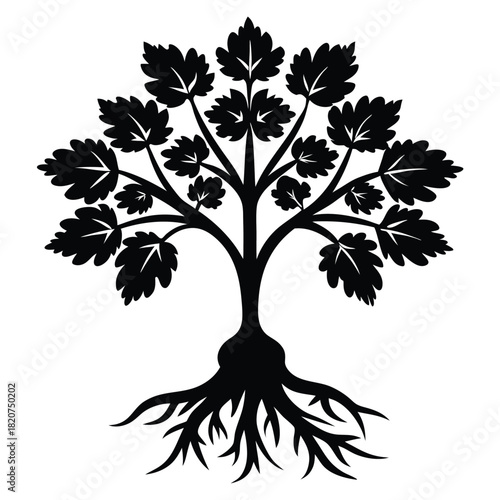 Black silhouette shows a stylized parsley plant with detailed leaves and root system