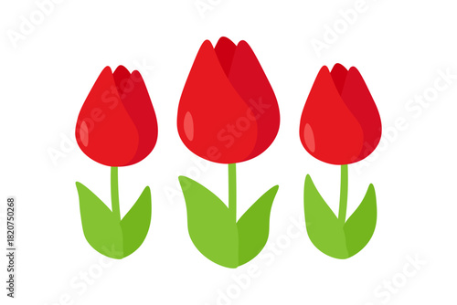 赤いチューリップ