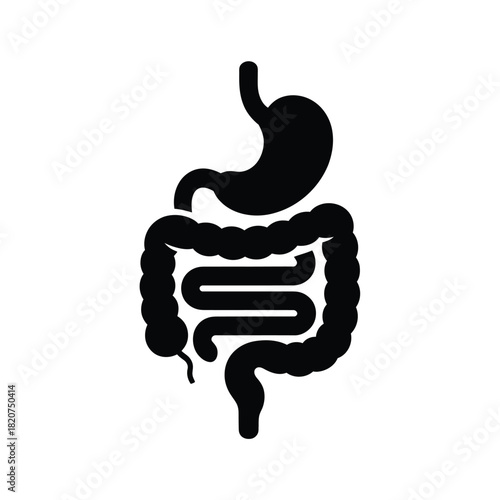 Stylized silhouette of human digestive system organs