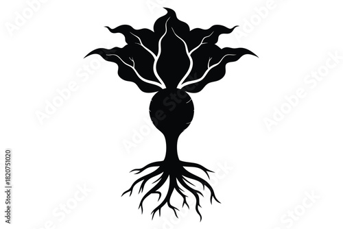 The black silhouette reveals a unique plant with prominent leaves and intricate roots
