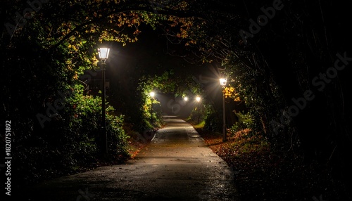 Illuminated Path - A Nighttime Stroll Through a Park.
