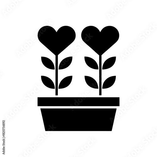 A detailed silhouette of a black cat with a long tail standing and looking forward isolated on transparent background silhouette