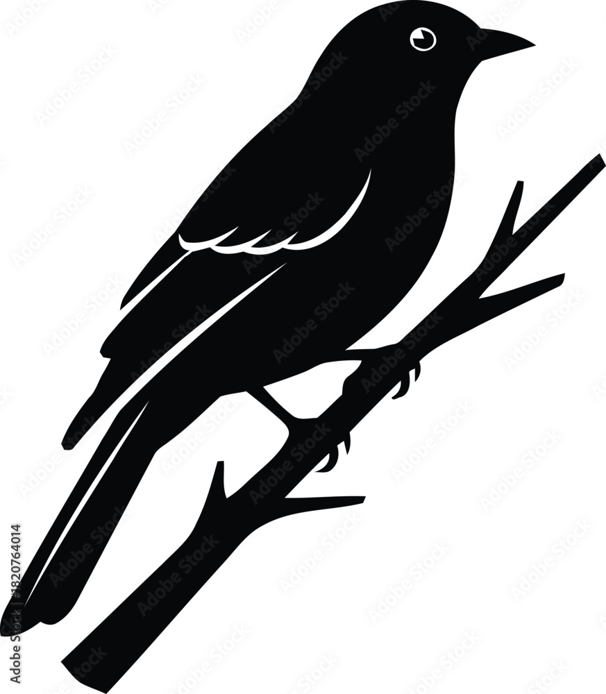 Fototapeta premium Black silhouette of a bird perched on a branch