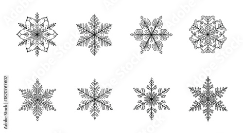Collection of eight intricate hand-drawn snowflake designs featuring both traditional and delicate floral inspired patterns.