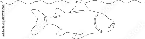 Continuous single line drawing a fish swimming in water. A sea fish. Linear . One continuous line isolated minimalist illustration. Not AI.