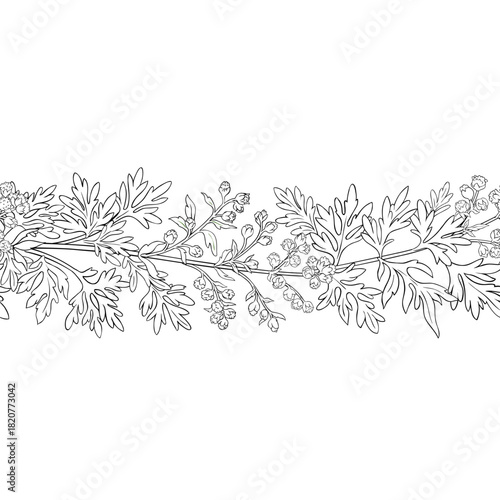 Wormwood Branch with Flowers and Leaves Outline Horizontal Seamless Pattern. Vector isolated for design or decoration.
