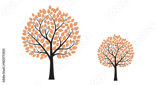 Charming illustration showcasing two distinct trees with intricate black branches and abundant orange autumn leaves, on a crisp white background.