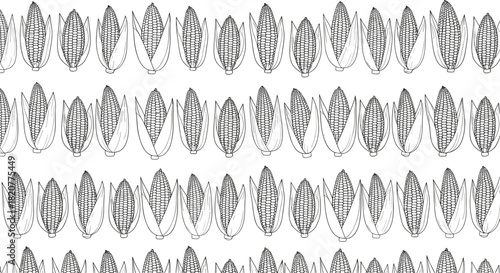 Rustic seamless pattern showcasing rows of detailed outline corn cobs with husks, symbolizing harvest and farm life on a white background.