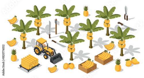 Isometric banana plantation with trees, tools, and harvest elements in 3d design