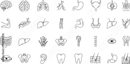 Collection of black and white line art medical and anatomical organ icons brain lungs