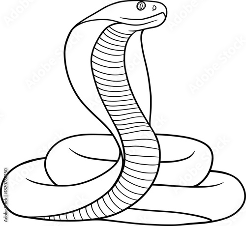 Cobra snake vector outline illustration