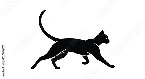 Graceful silhouette of a black cat walking with its tail up, capturing its elegant movement and mysterious feline nature.
