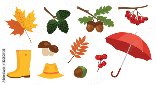 A vibrant collection of autumn elements including colorful leaves, forest produce, rain gear, and cozy accessories, perfect for seasonal designs.