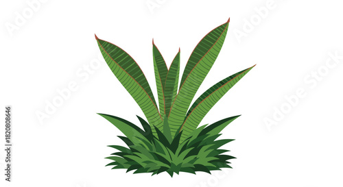 A vibrant illustration of a tropical plant with broad green leaves and dense undergrowth, set against a clean white background.