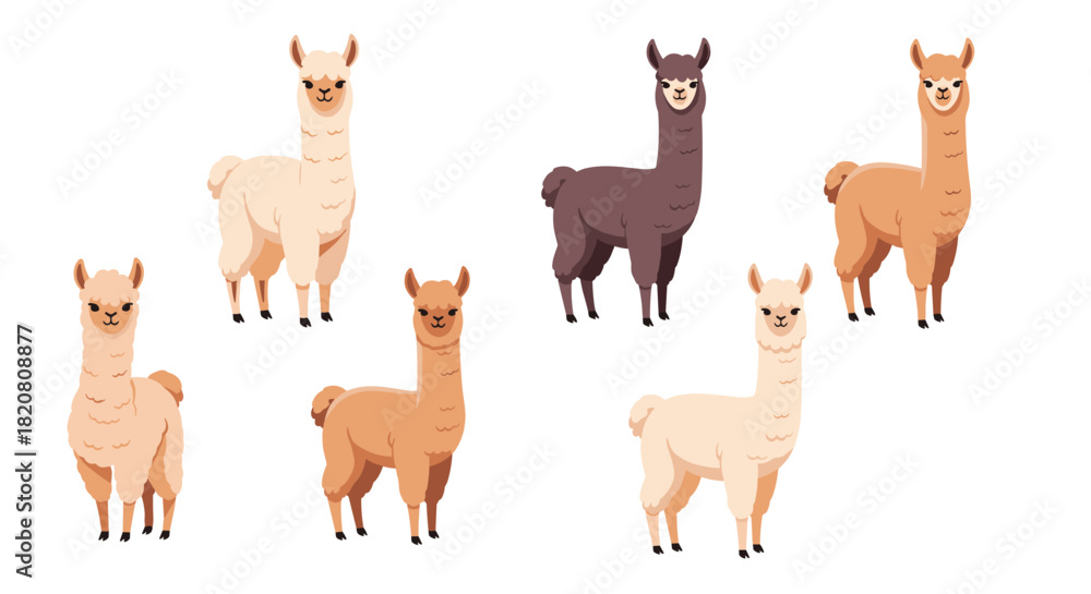 Naklejka premium A vibrant collection of cute and friendly cartoon llamas in various natural colors, standing on a clean white background, perfect for designs.