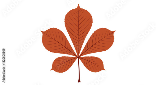 A vibrant reddish-brown horse chestnut leaf, showcasing its distinctive palmate structure and intricate venation, set against a clean white background.