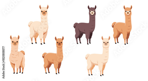 A vibrant collection of cute and friendly cartoon llamas in various natural colors, standing on a clean white background, perfect for designs.