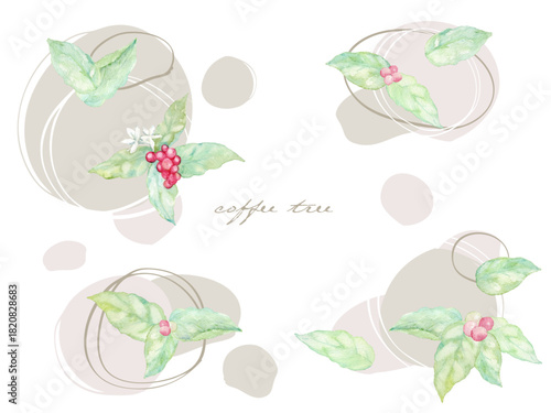 coffee tree illustration