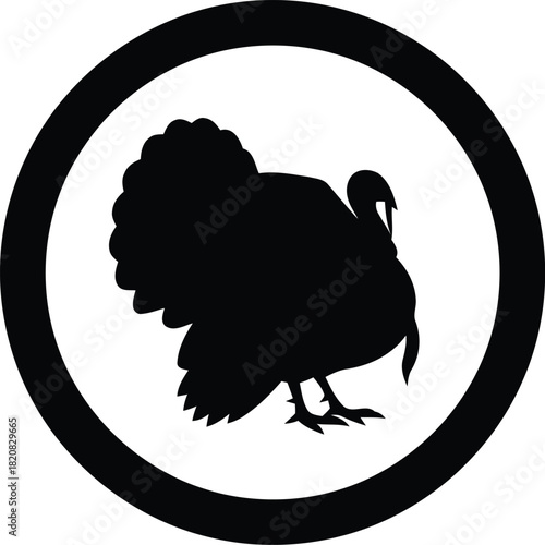 cloud computing concept