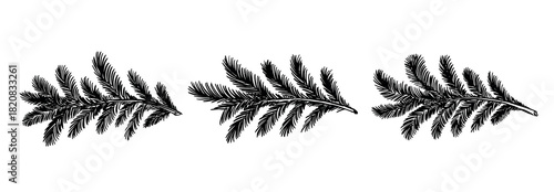 Christmas black tree branch set, hand drawn