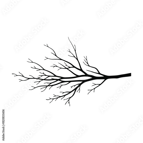 black and white feather