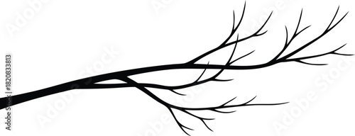 vector silhouette of a bird