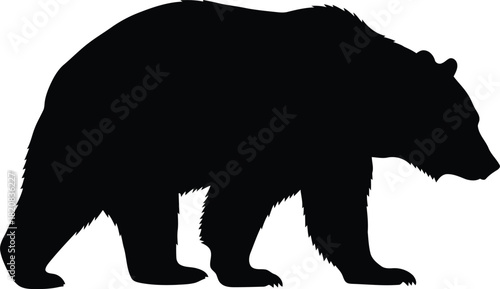 Silhouette of a grizzly bear walking outdoors wildlife animal vector