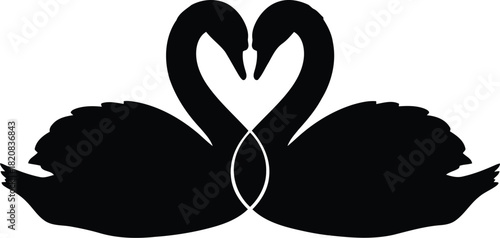 Elegant black swans forming heart shape symbolizing love and romance vector