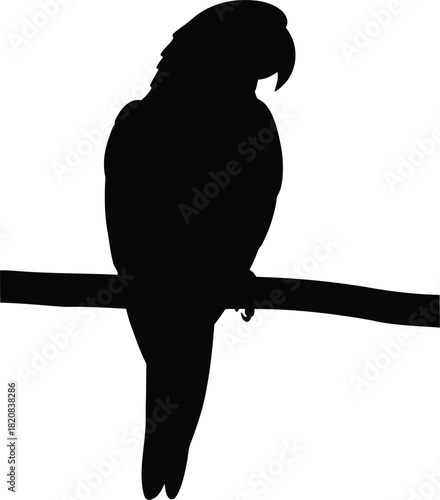 Silhouette of a majestic parrot perched on a branch vector