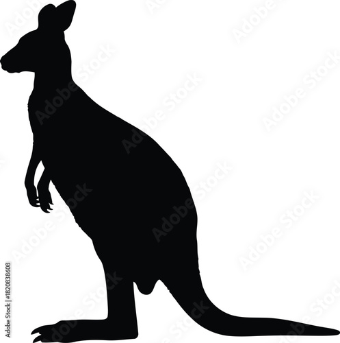 Kangaroo silhouette jumping wild animal australian icon vector