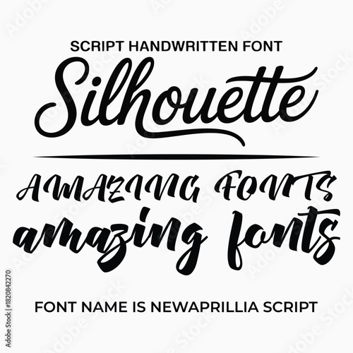 Script Font Examples with Font Name handwritten typography