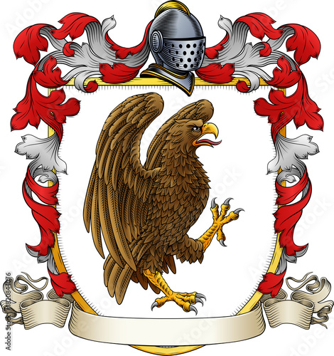 An eagle, hawk or falcon co...