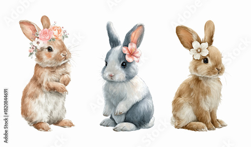 Watercolor set of cute rabbits with flowers. Fluffy rabbits with a floral wreath and a flower near the ear. Cute spring and Easter characters. Animals for Easter, and spring designs. 