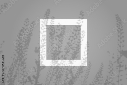 Wallpaper Mural Natural light casts shadows from field grass on square white frame lying on a gray background. Mockup Torontodigital.ca