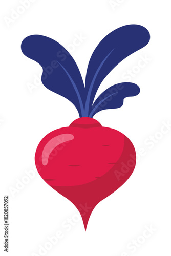 Fresh red beet with blue leaves, healthy vegetable isolated on white background