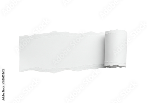 Wallpaper Mural Torn paper with white background, isolated on transparent background, showing rough edges and a rolled up section Torontodigital.ca