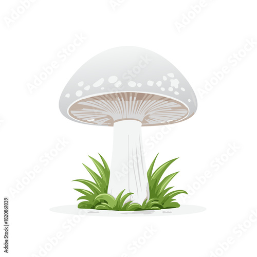 Vector illustration of a white mushroom with grey spots surrounded by green grass