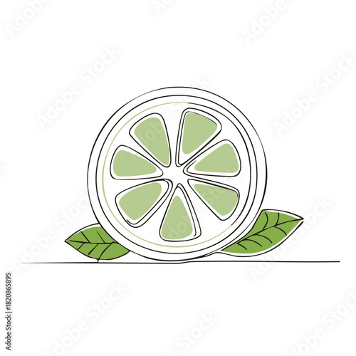 Stylized green lime citrus fruit slice and fresh leaves vector illustration