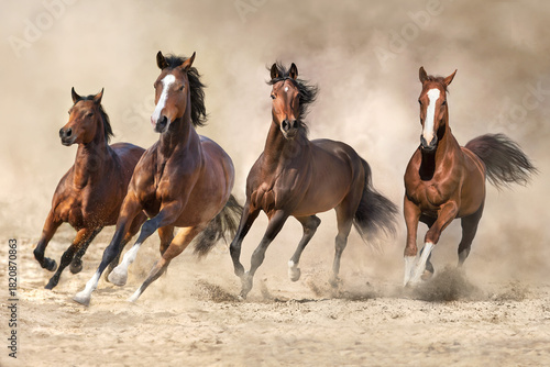 Horses run in desert