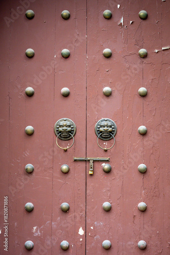 Beautifully crafted door with lion knockers