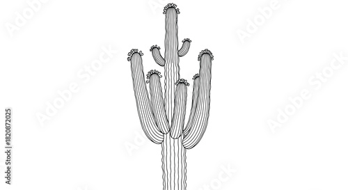 A tall saguaro cactus with multiple arms and flowers on top is rendered in a detailed black and white line art style.