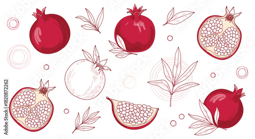 A collection of pomegranate fruits and their leaves in a line art style.