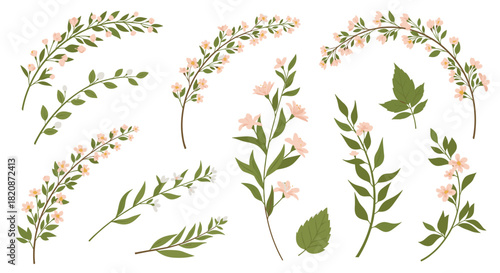 A collection of floral branches and design elements.