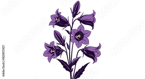 A detailed illustration of a bouquet of bell flowers.
