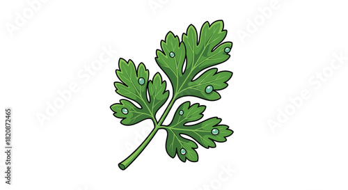 A detailed illustration of a leaf with raindrops.