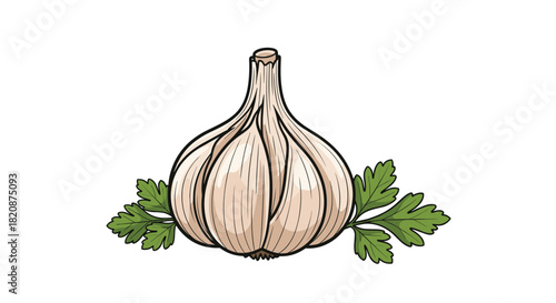 A realistic hand-drawn illustration of a whole garlic bulb accompanied by fresh green parsley leaves isolated on a white background.