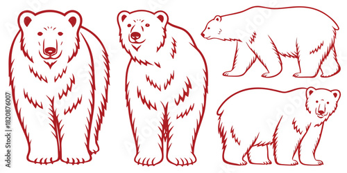 Four distinct line drawings of polar bears are presented, showcasing various poses and perspectives of the arctic animal.